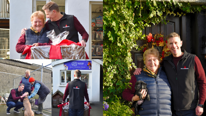 Fiona Gammel - Charity Wicklow Animal Welfare