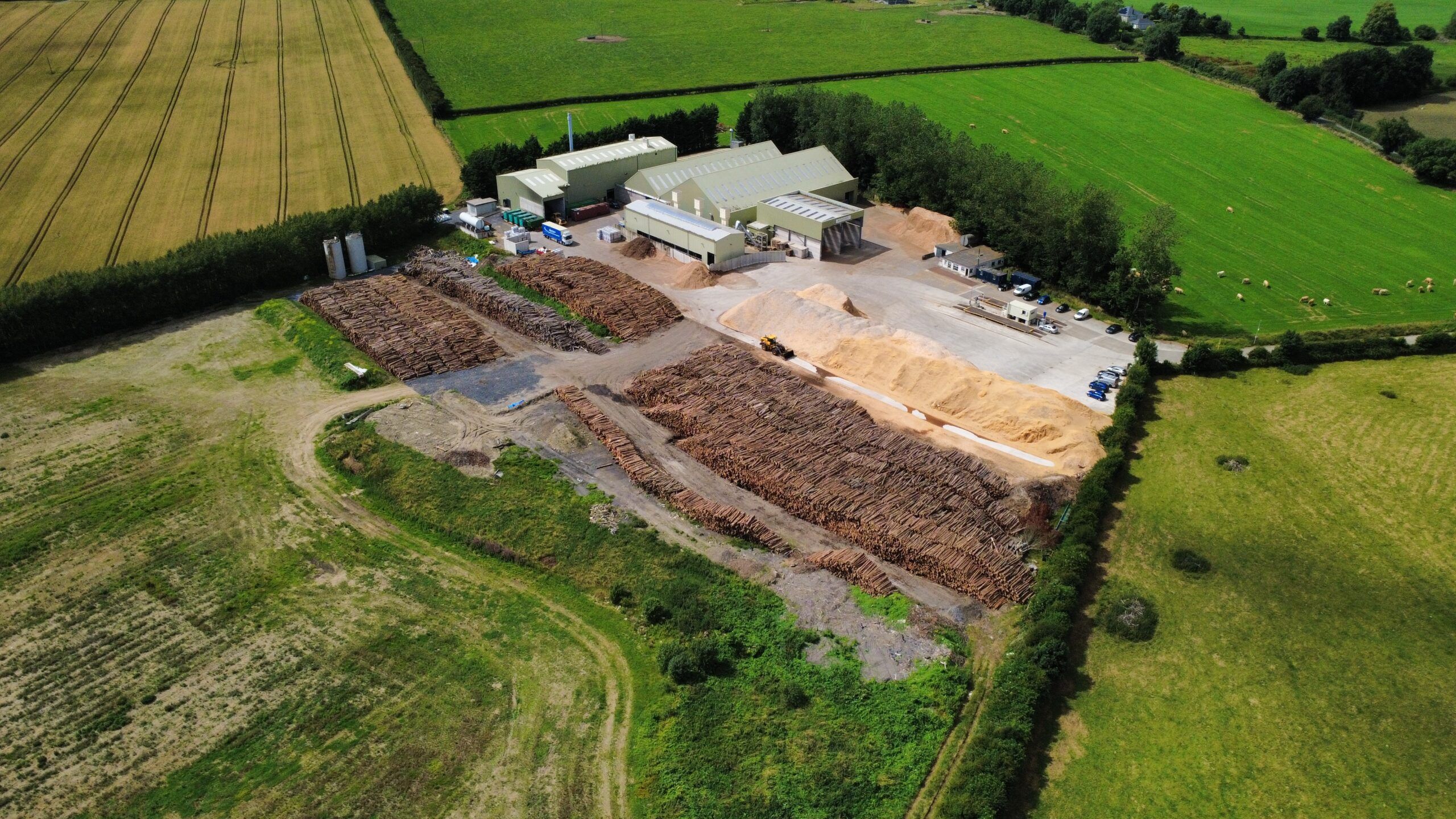 image for articlce: WillowWarm Are Hiring.