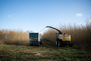 Willow crops being harvested at WillowWarm HQ in Kells, Co.Meath Willow crops being harvested at WillowWarm HQ in Kells, Co.Meath
