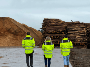 Willow chips drying out in the sun in WillowWarm HQ Willow chips drying out in the sun in WillowWarm HQ