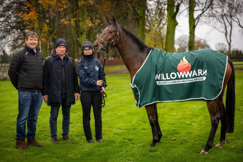 WillowWarm at Fairyhouse